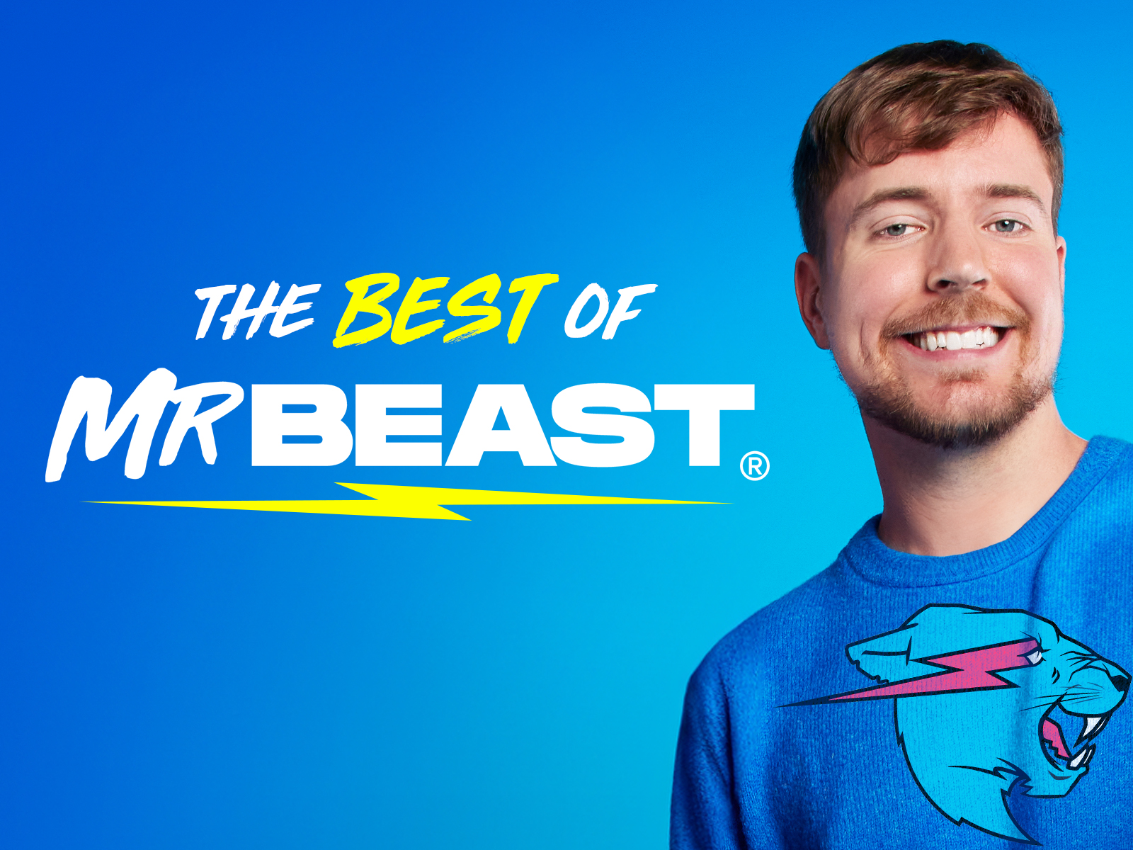 Who is Mr Beast? Everything answered